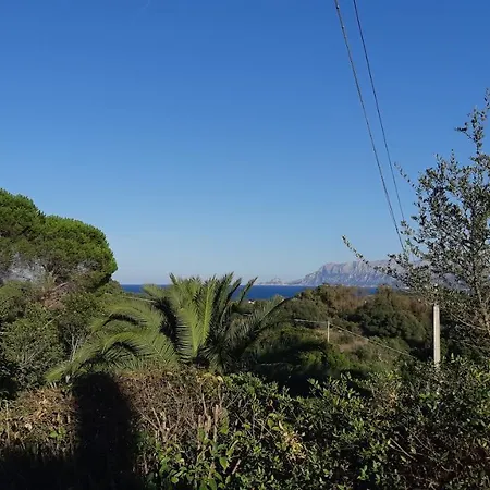 La Casa Di Giu Appartement